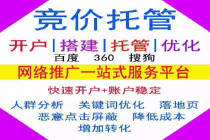 谷歌SEM案例研究：广告预算分配与优化
