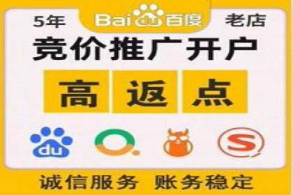 百度SEO推广公司案例汇编：实战优化策略全解析
